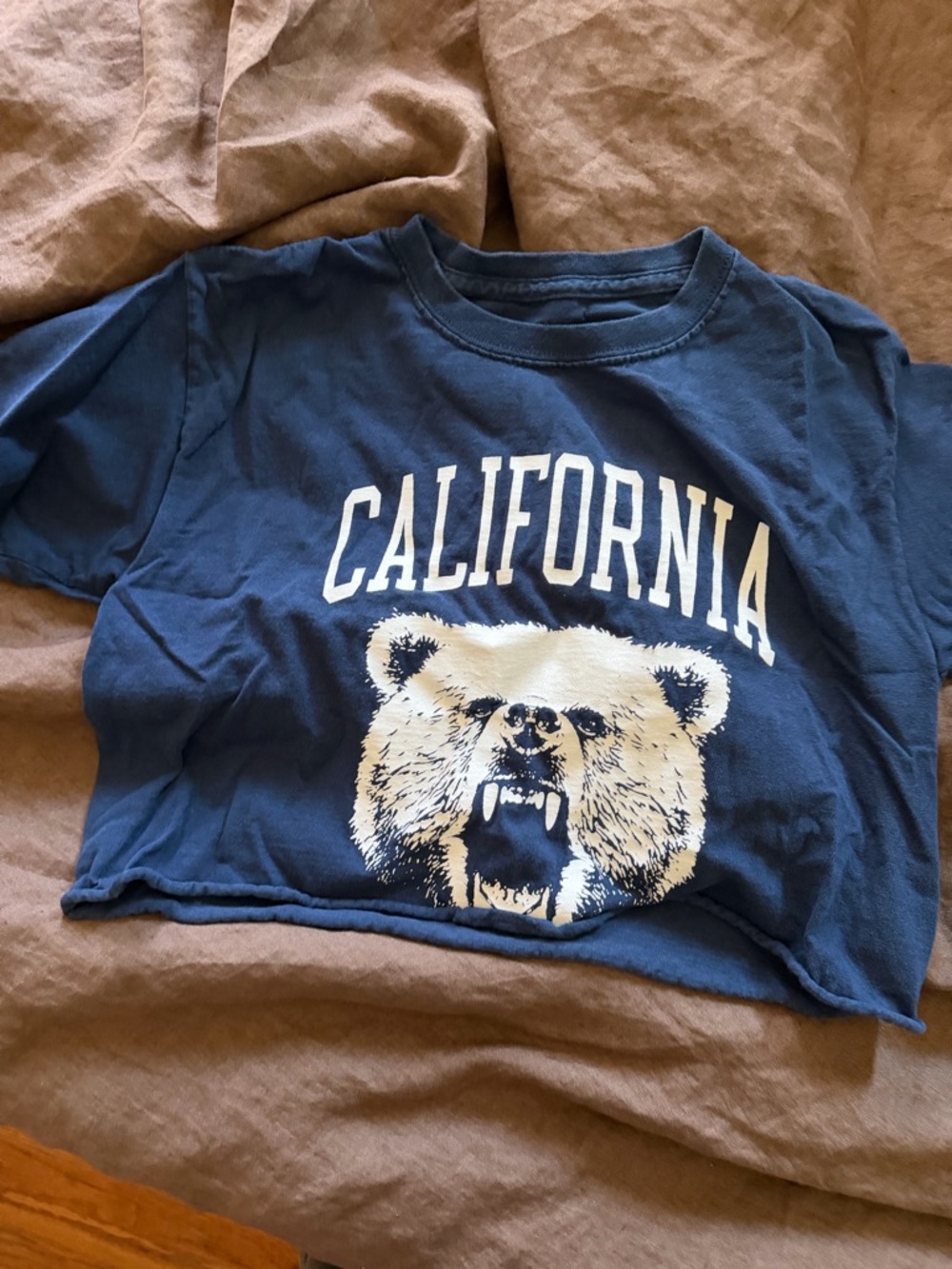 California Bear Graphic Tee - Navy Blue